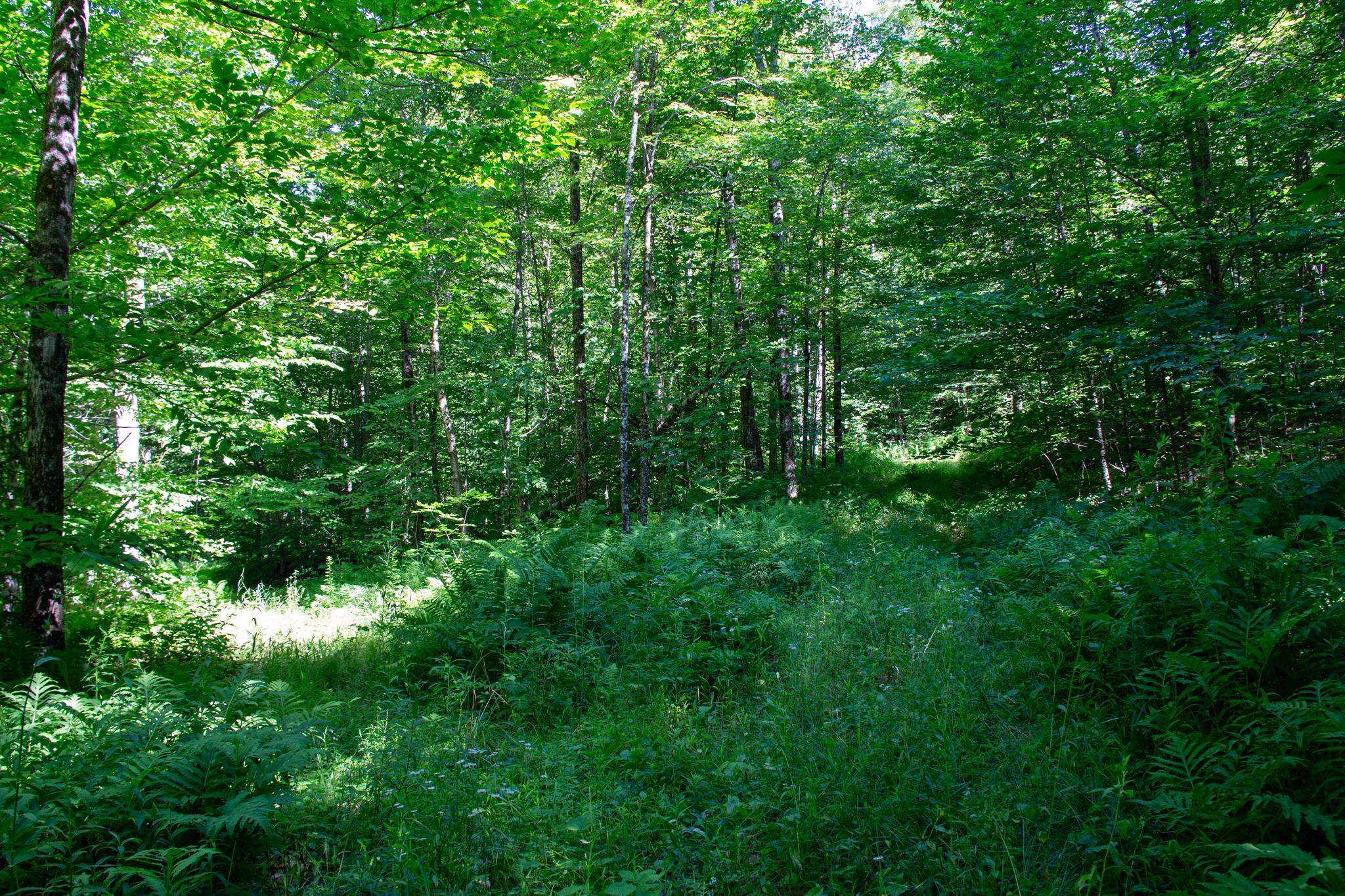 Homes for sale in Hinesburg, VT | 00 Beaver Pond Rd, Hinesburg, VT 05461 | MLS# 5074522