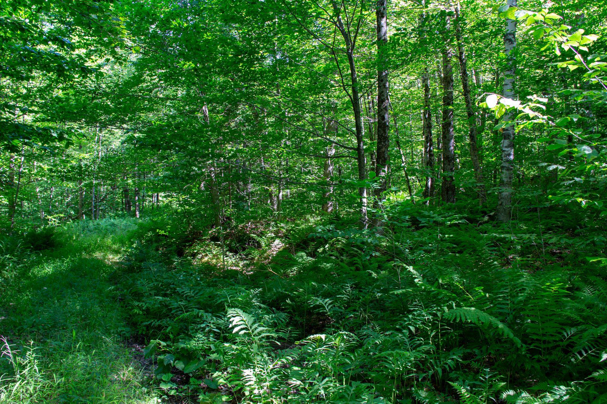 Homes for sale in Hinesburg, VT | 00 Beaver Pond Rd, Hinesburg, VT 05461 | MLS# 5074522