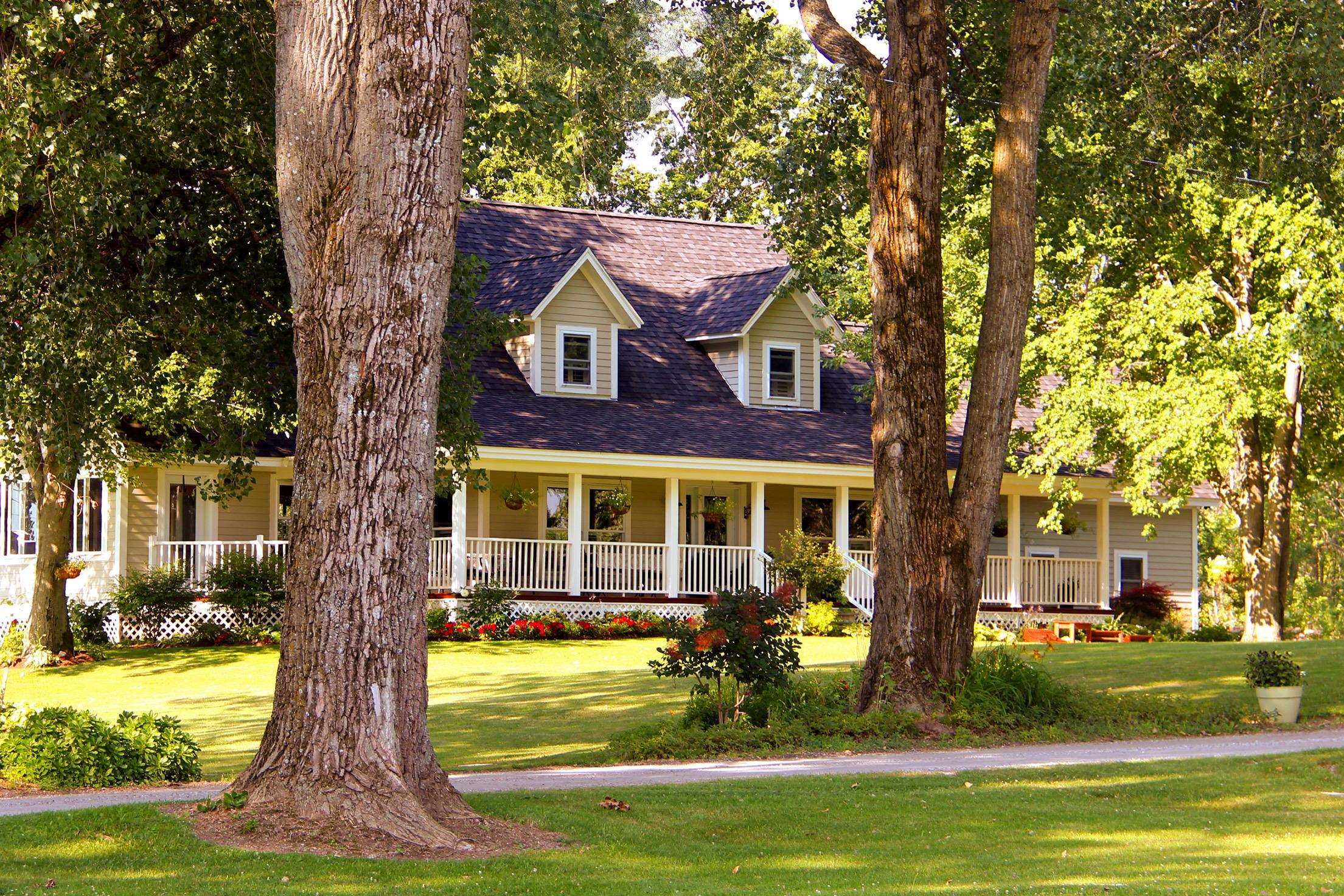   Click for more details  