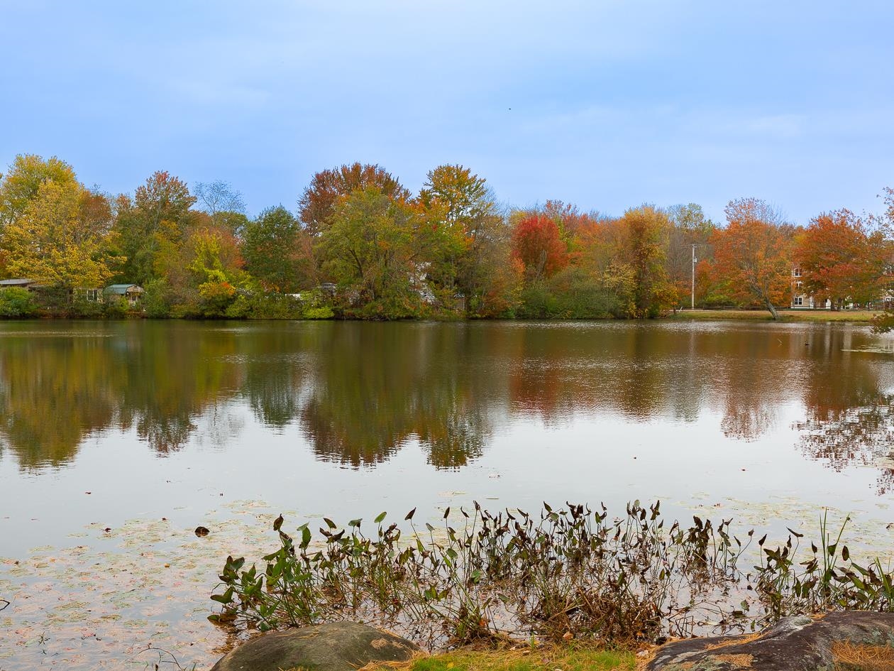 Homes for sale in Epping, NH | 290 Calef Hwy #B21, Epping, NH 03042 | MLS# 5074747