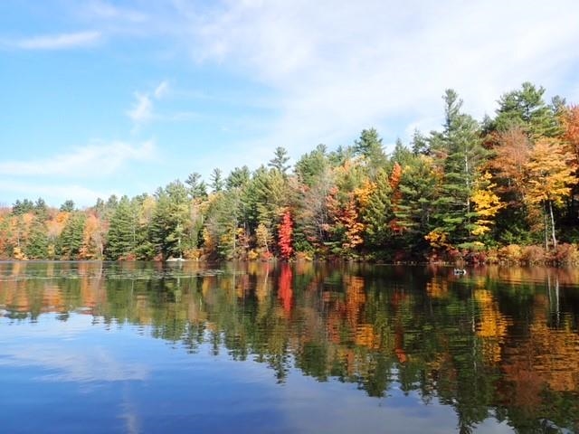Homes for sale in Grantham, NH | 22 Brookridge Rd, Grantham, NH 03753 | MLS# 5074760
