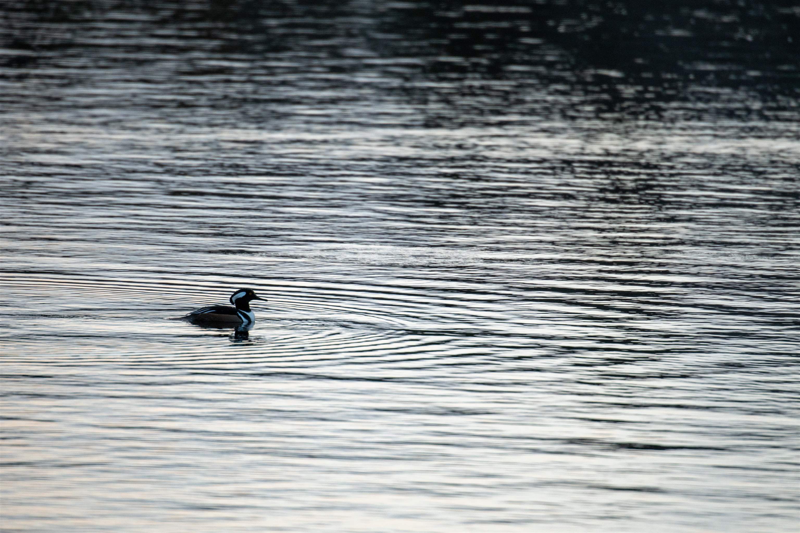 Homes for sale in Grantham, NH | 22 Brookridge Rd, Grantham, NH 03753 | MLS# 5074760