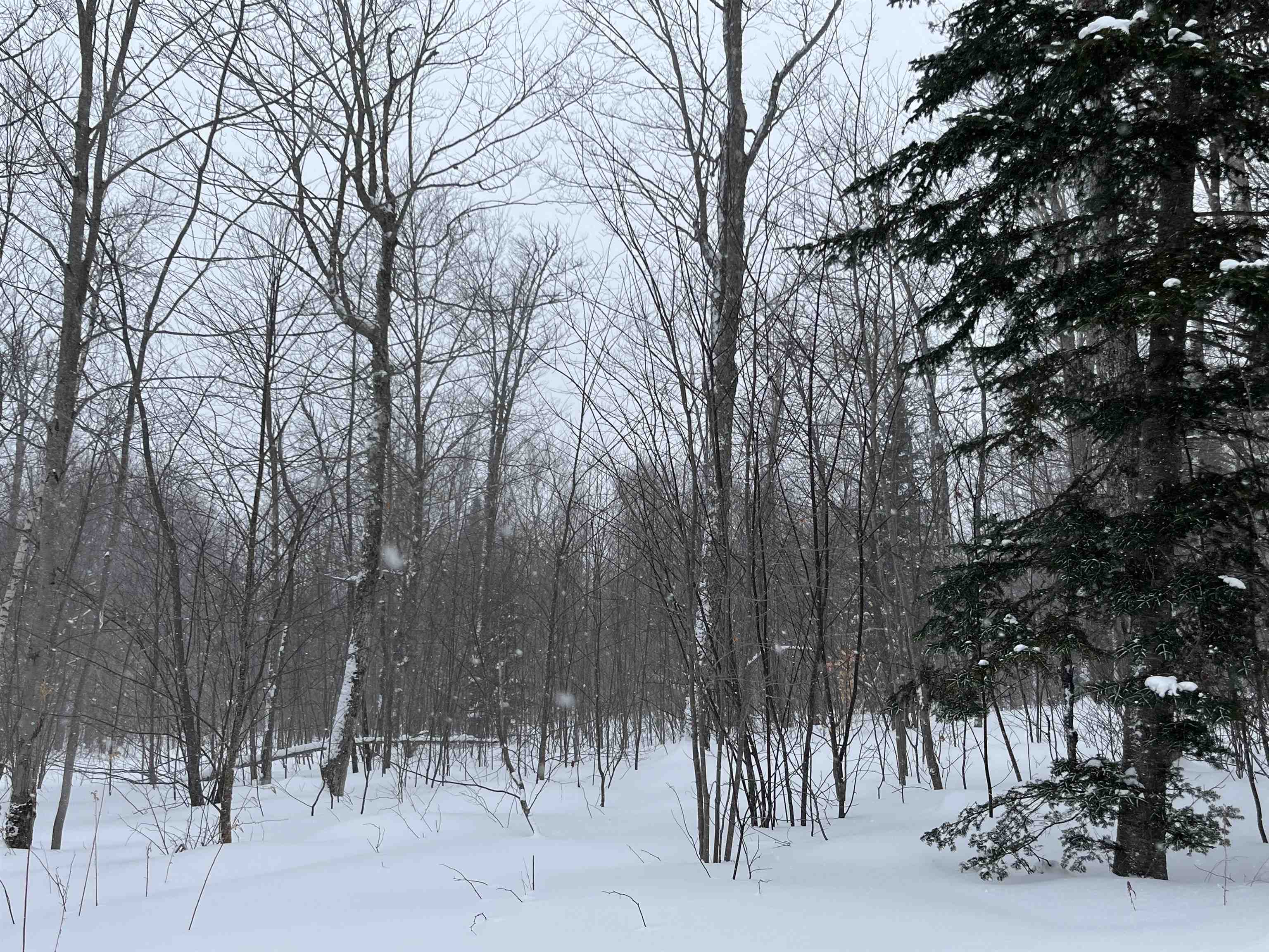 Homes for sale in Sheffield, VT | 2924 New Duck Pond Rd, Sheffield, VT 05866 | MLS# 5074784