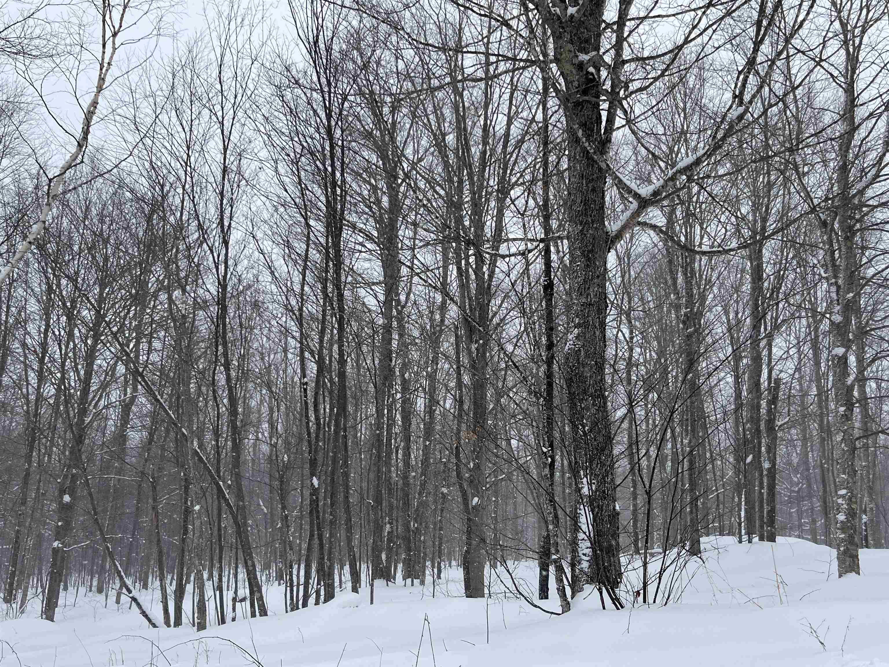 Homes for sale in Sheffield, VT | 2924 New Duck Pond Rd, Sheffield, VT 05866 | MLS# 5074784