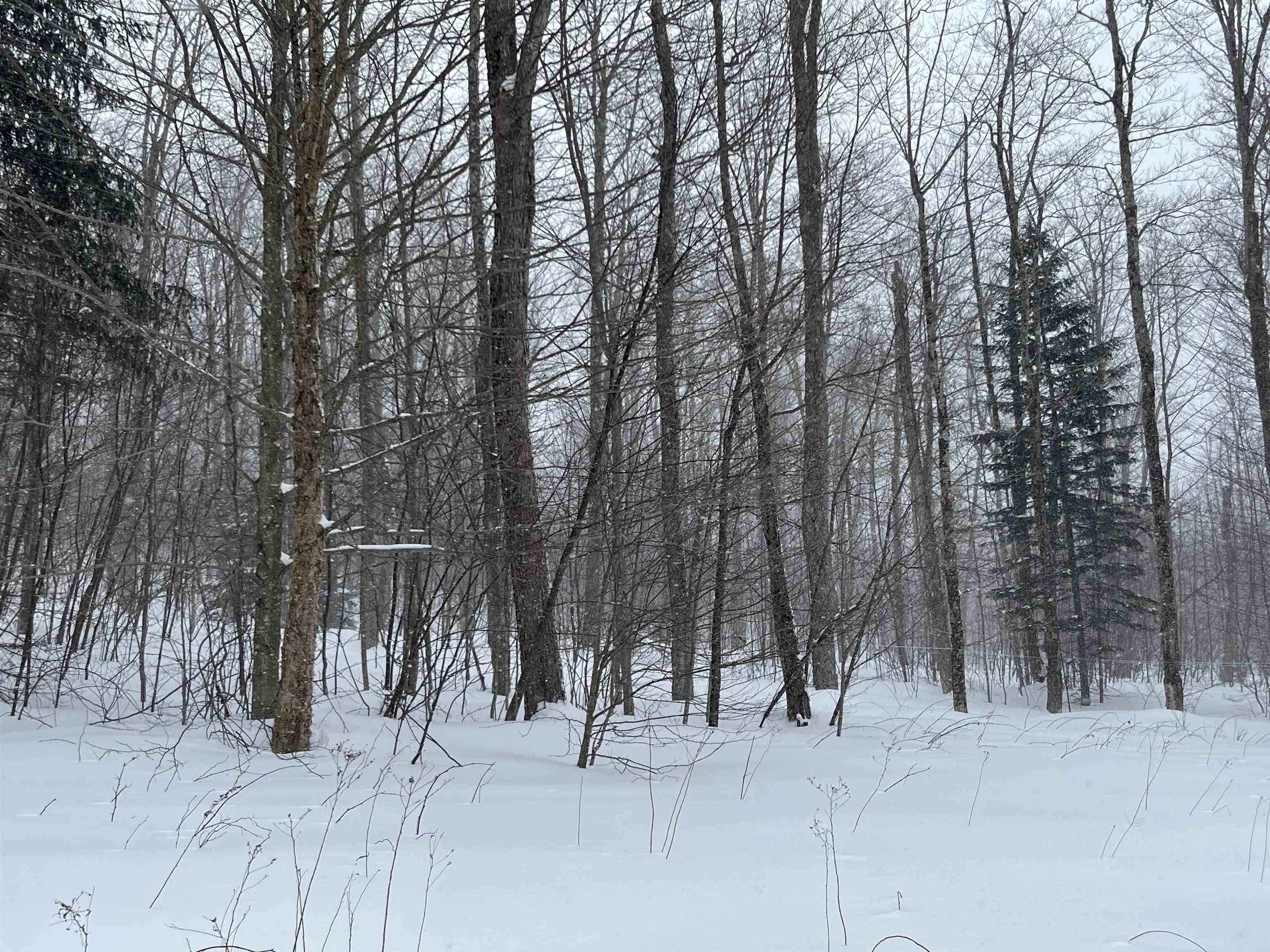 Homes for sale in Sheffield, VT | 2924 New Duck Pond Rd, Sheffield, VT 05866 | MLS# 5074784