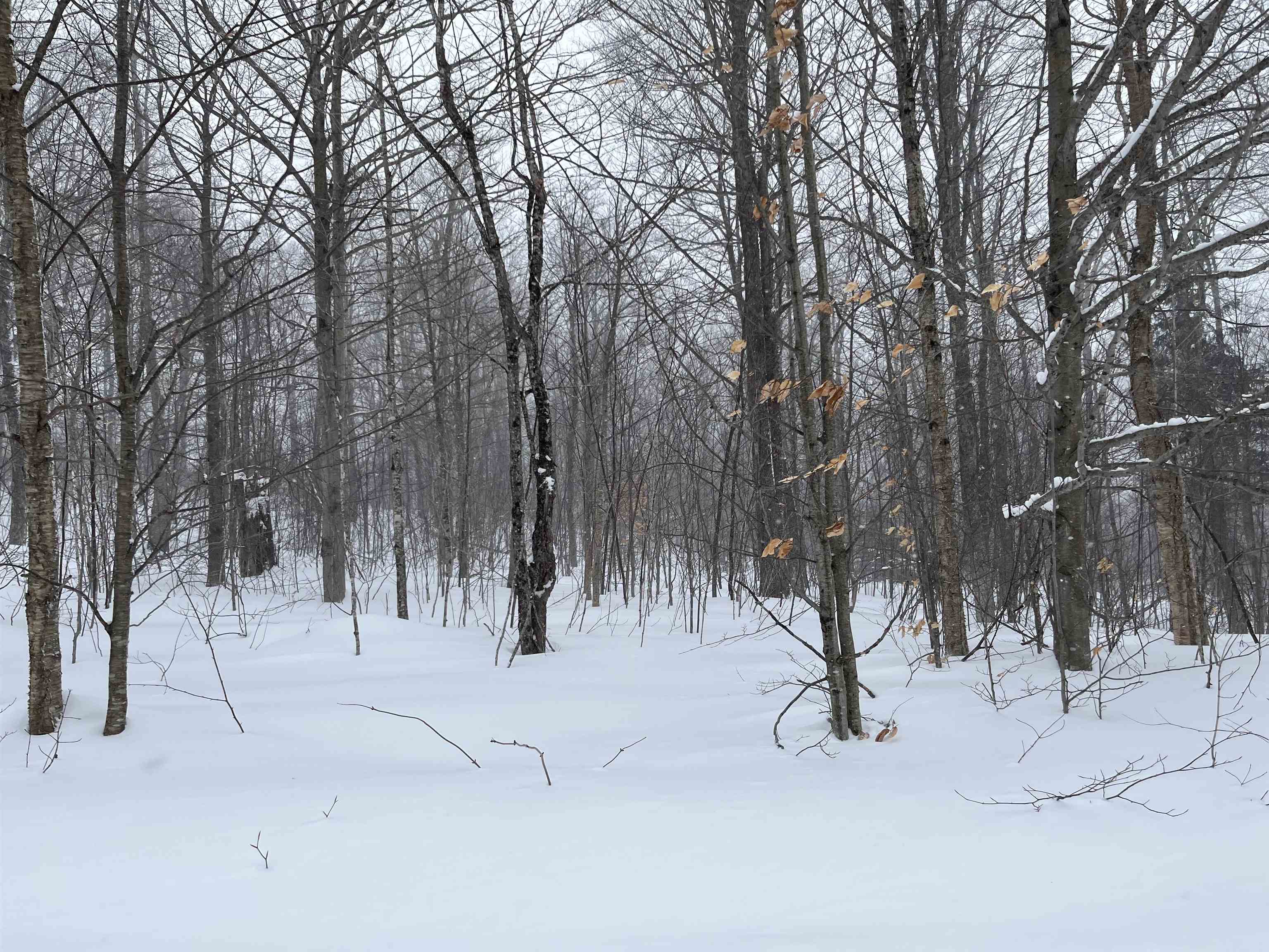 Homes for sale in Sheffield, VT | 2924 New Duck Pond Rd, Sheffield, VT 05866 | MLS# 5074784