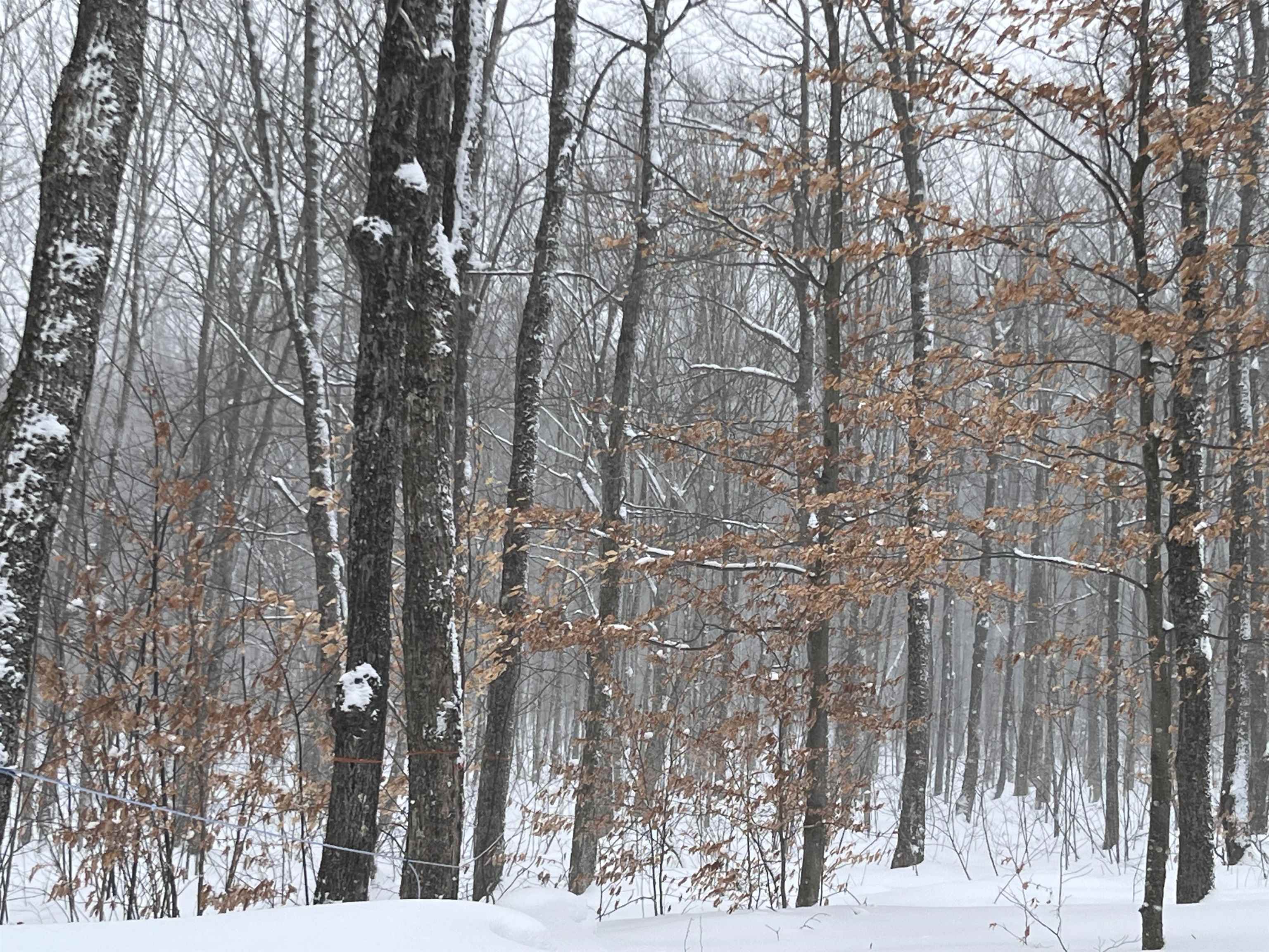 Homes for sale in Sheffield, VT | 2924 New Duck Pond Rd, Sheffield, VT 05866 | MLS# 5074784