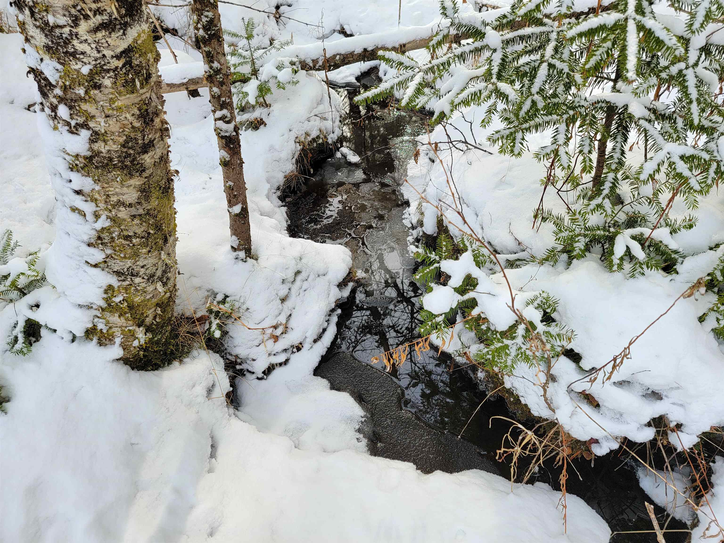 Homes for sale in Bradford, VT | 1735 South Rd, Bradford, VT 05033 | MLS# 5074796