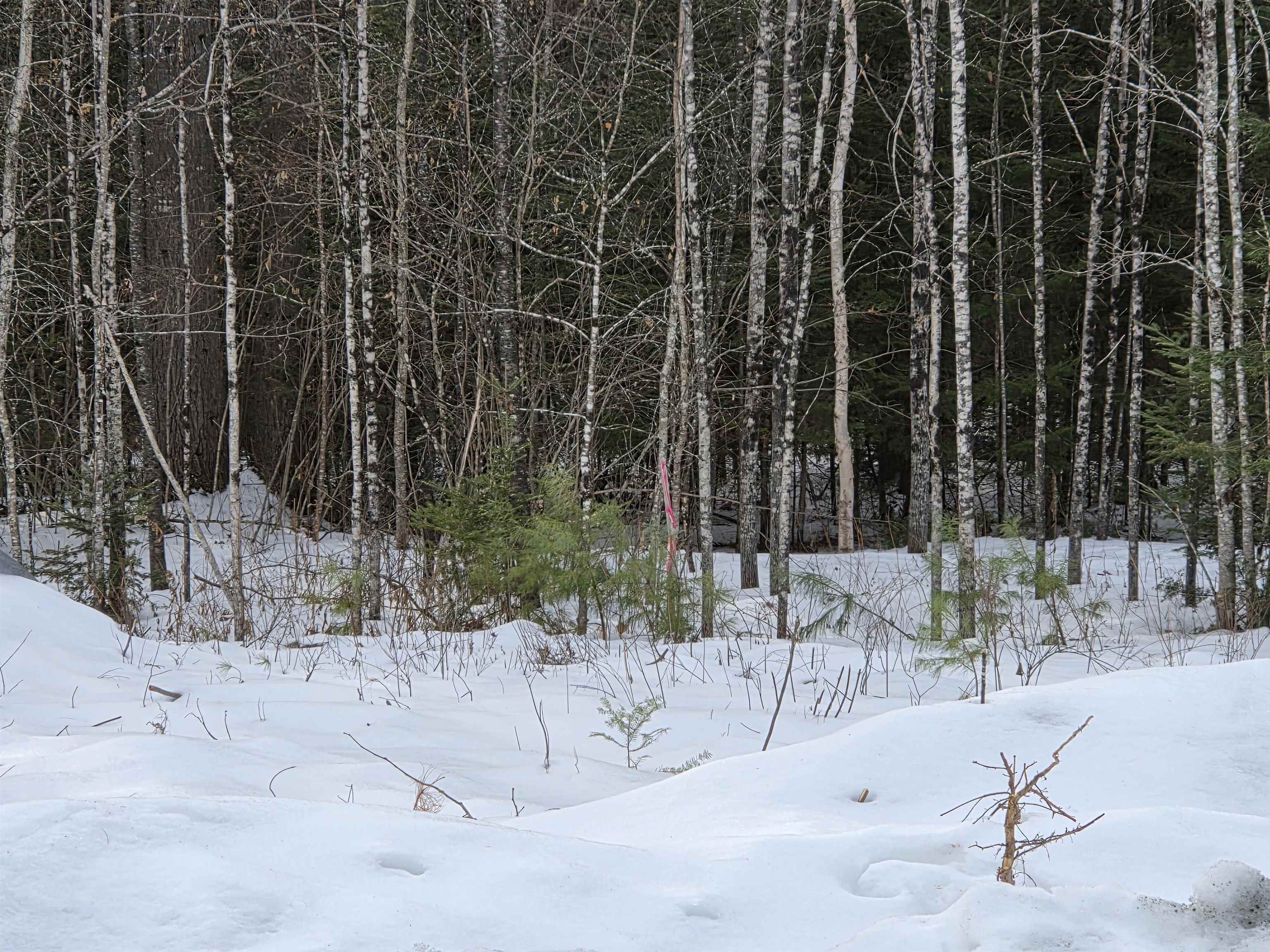 Homes for sale in Canaan, NH | 21 Granite Wy, Canaan, NH 03741 | MLS# 5074810