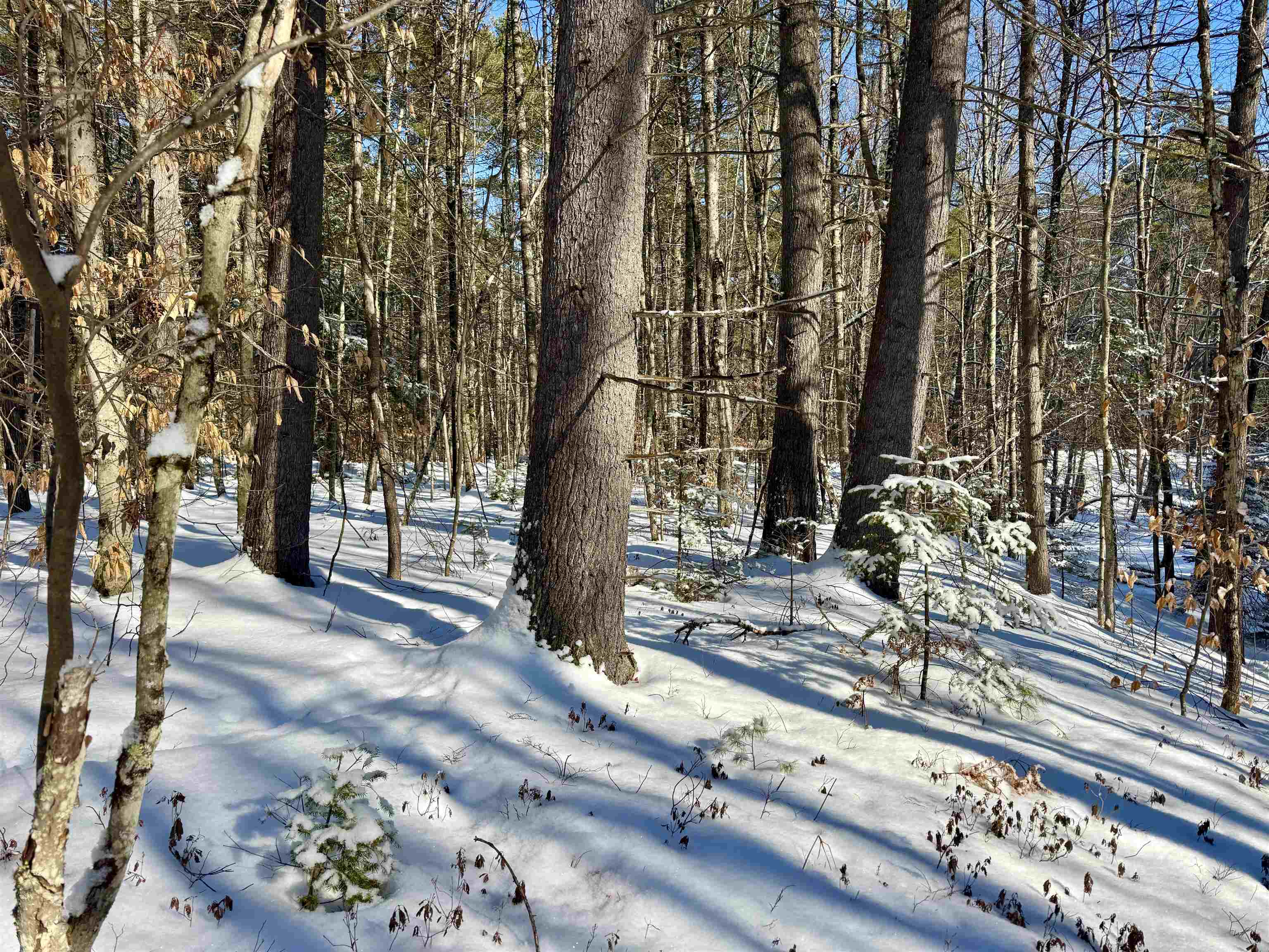 Homes for sale in Fryeburg, ME | 00 Swans Falls Rd, Fryeburg, ME 04037 | MLS# 5074818