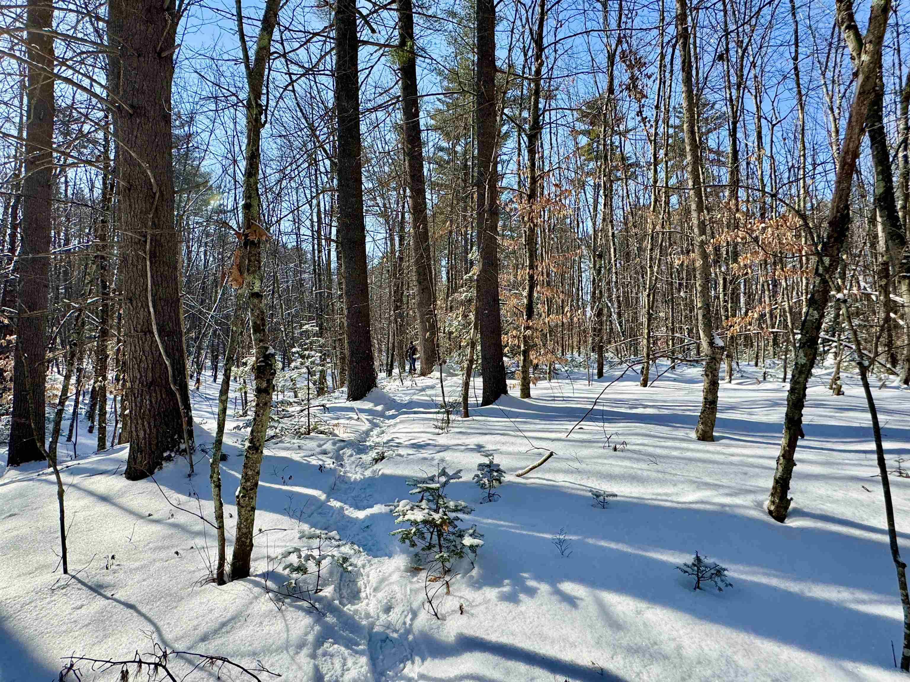 Homes for sale in Fryeburg, ME | 00 Swans Falls Rd, Fryeburg, ME 04037 | MLS# 5074818