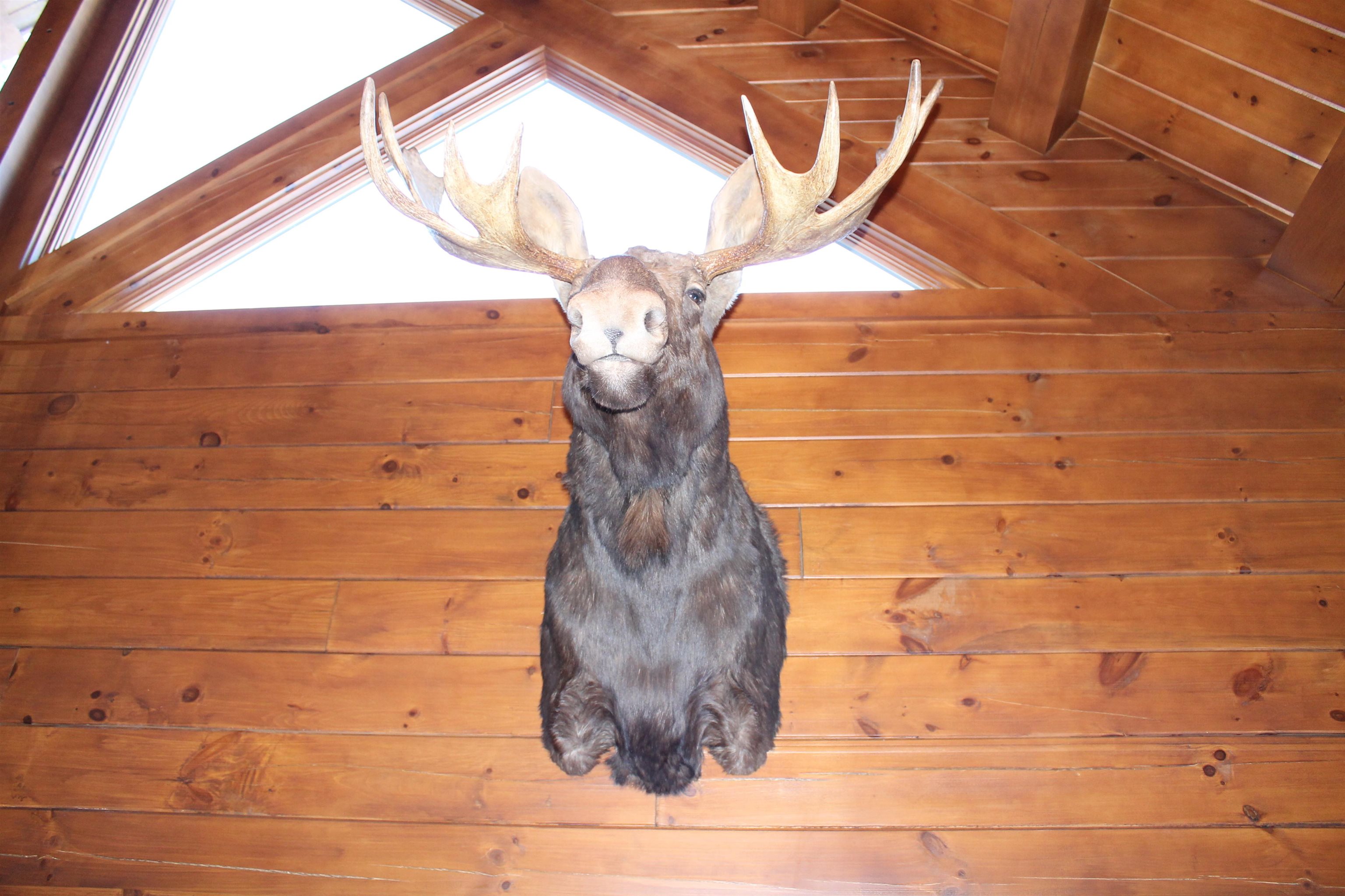 MLS #5074832 image #46