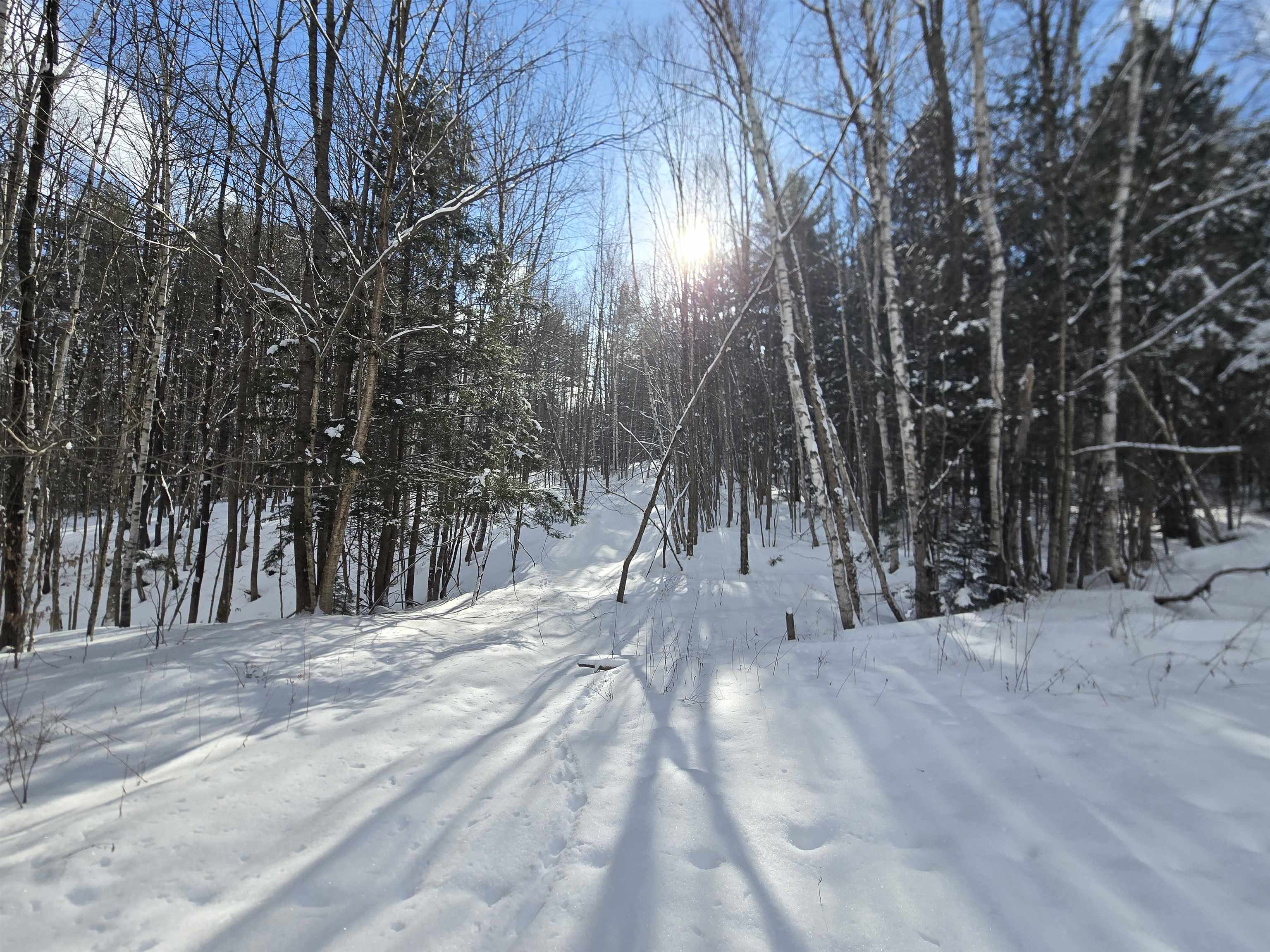 Homes for sale in Chester, VT | Tbd Farrar Rd, Chester, VT 05143 | MLS# 5074848