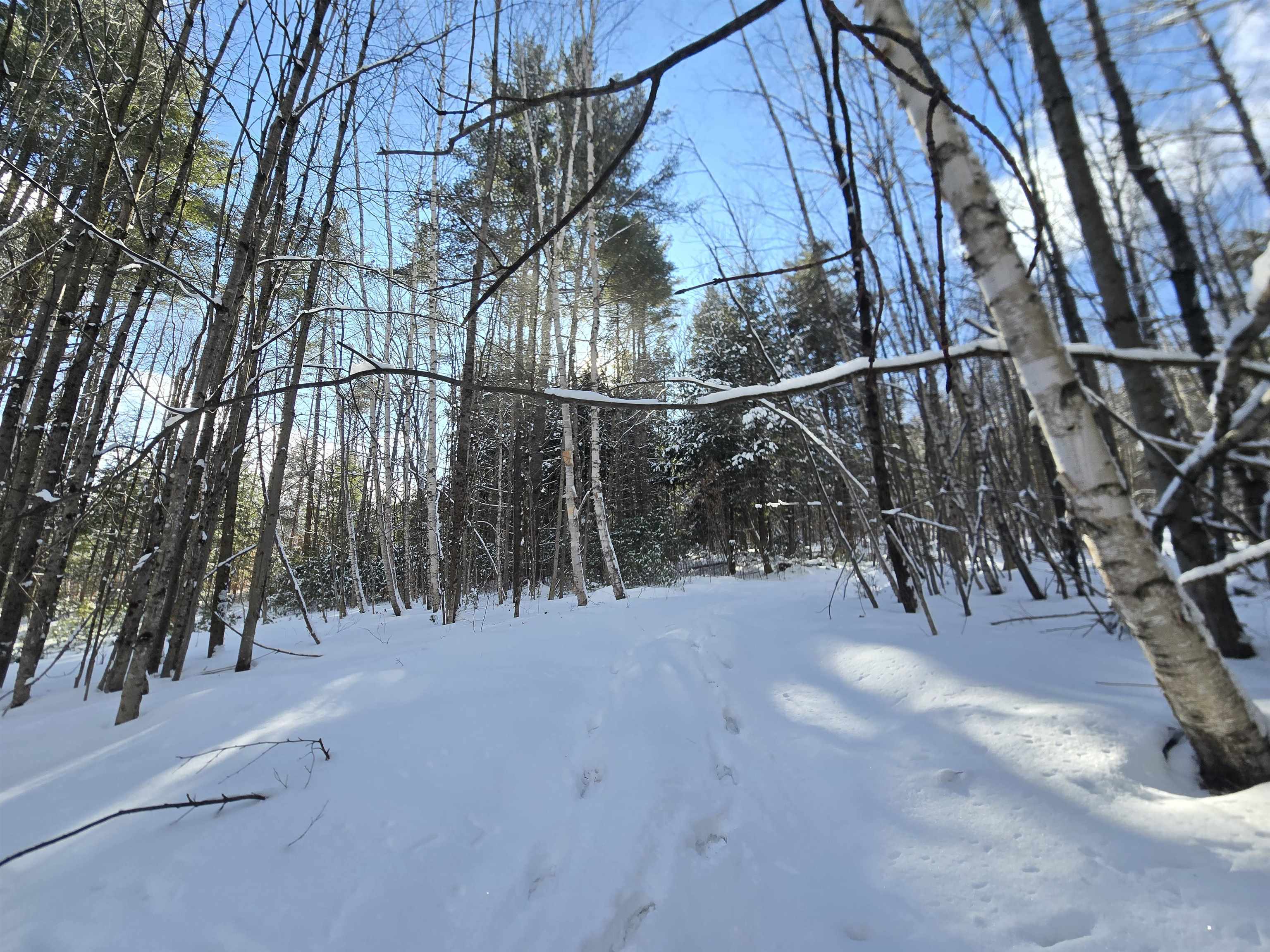 Homes for sale in Chester, VT | Tbd Farrar Rd, Chester, VT 05143 | MLS# 5074848