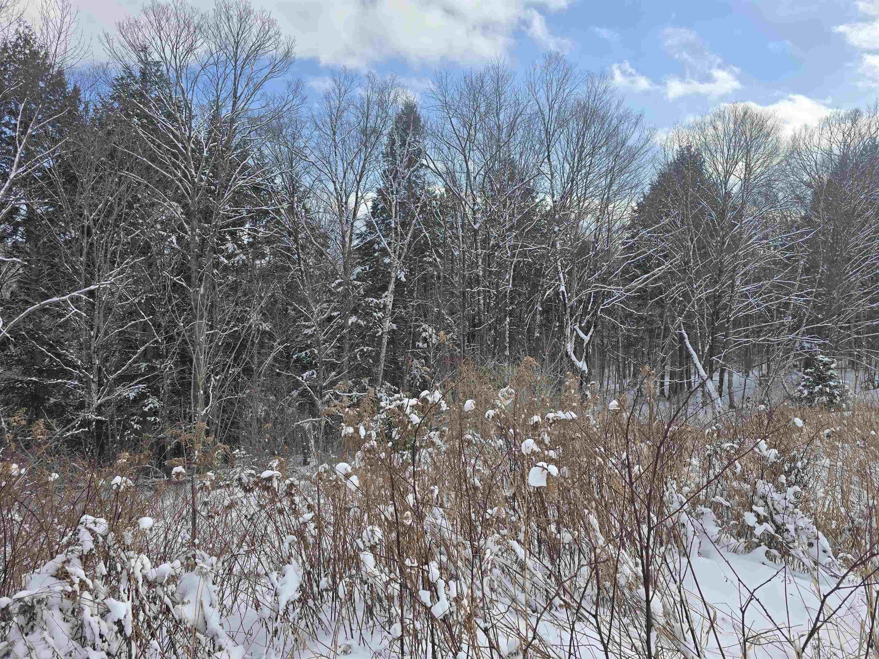 Homes for sale in Chester, VT | Tbd Farrar Rd, Chester, VT 05143 | MLS# 5074848