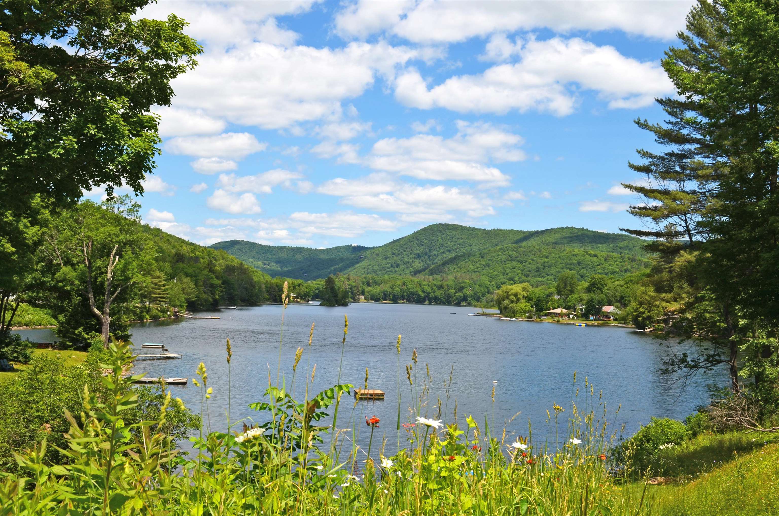 Homes for sale in Mount Holly, VT | 609 Alpine Dr, Mount Holly, VT 05758 | MLS# 5074853