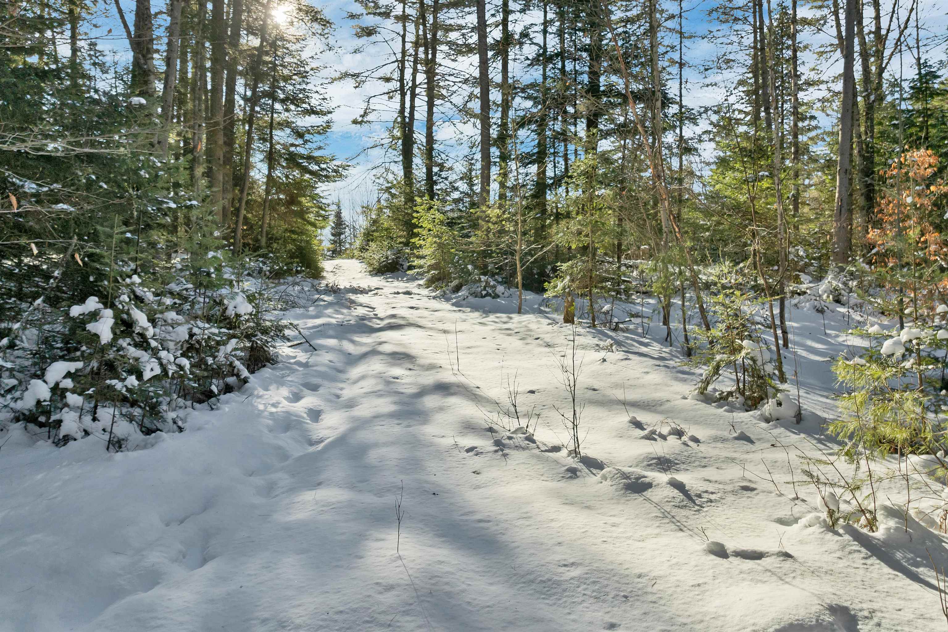 Homes for sale in Dalton, NH | Nichols Rd, Dalton, NH 03598 | MLS# 5074872