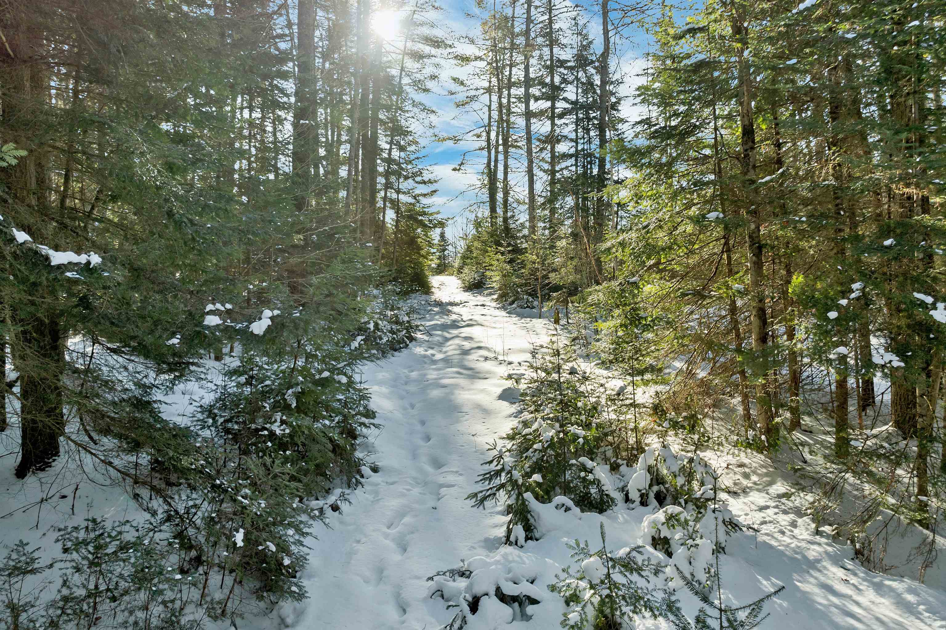 Homes for sale in Dalton, NH | Nichols Rd, Dalton, NH 03598 | MLS# 5074872