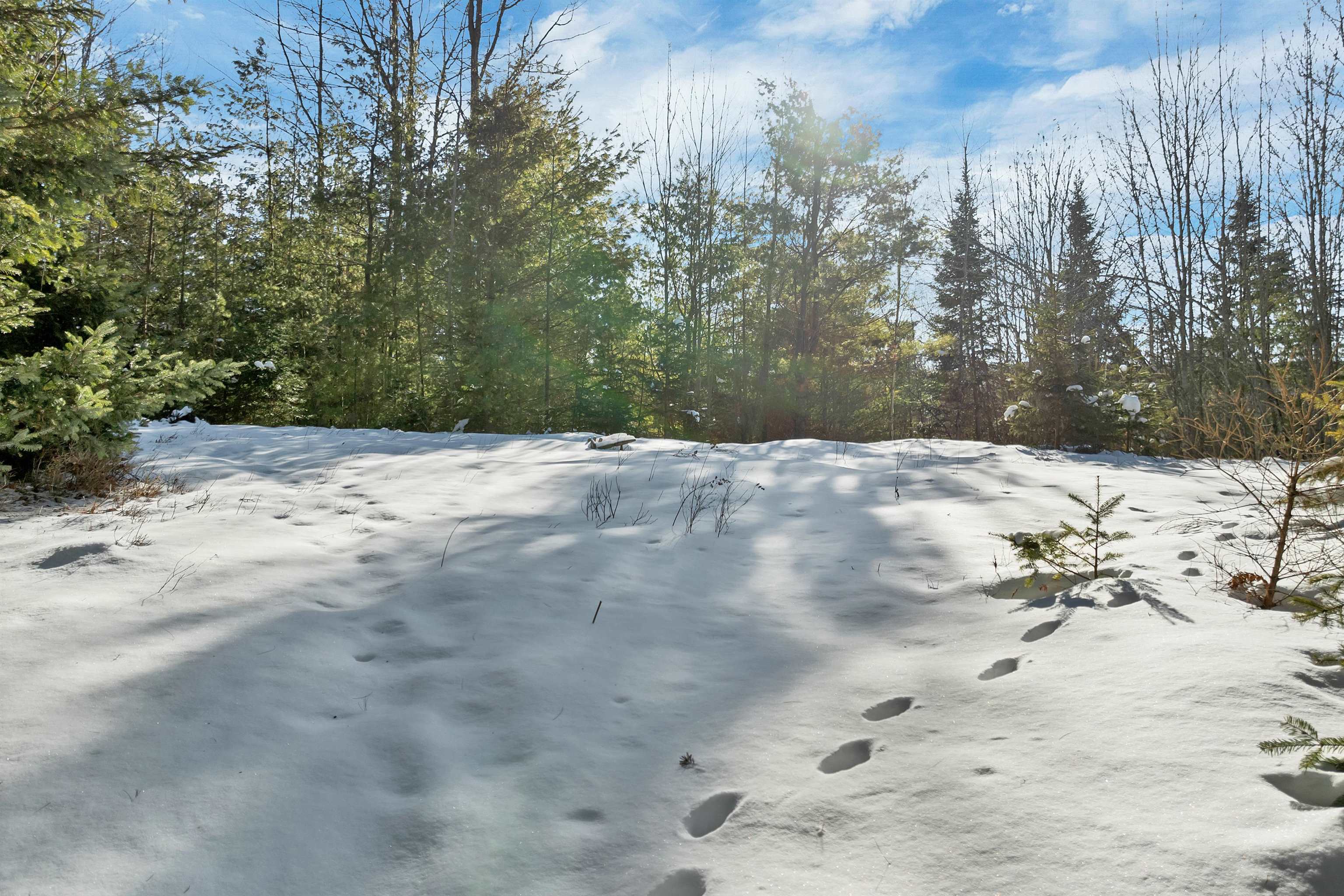 Homes for sale in Dalton, NH | Nichols Rd, Dalton, NH 03598 | MLS# 5074872