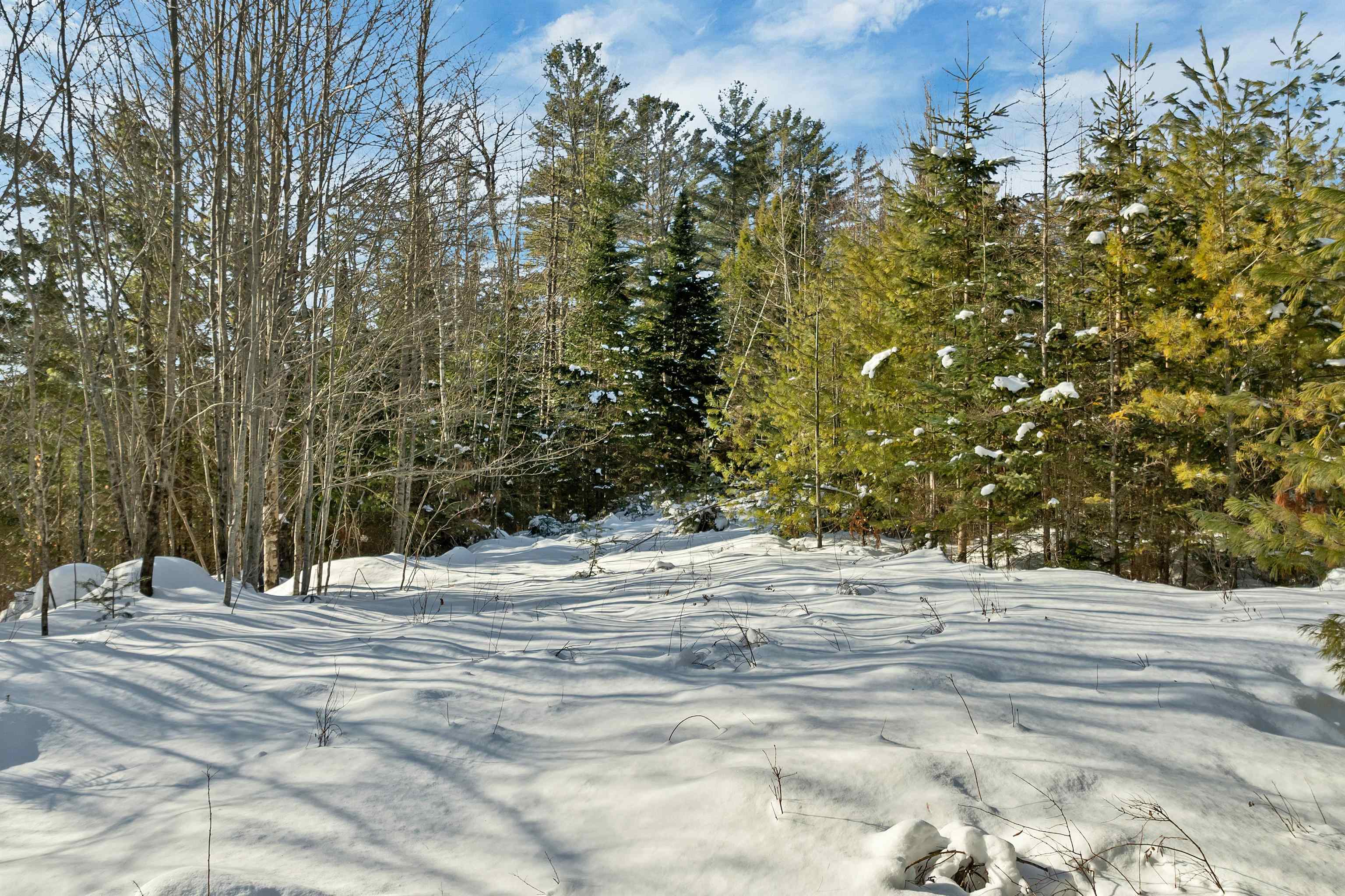 Homes for sale in Dalton, NH | Nichols Rd, Dalton, NH 03598 | MLS# 5074872