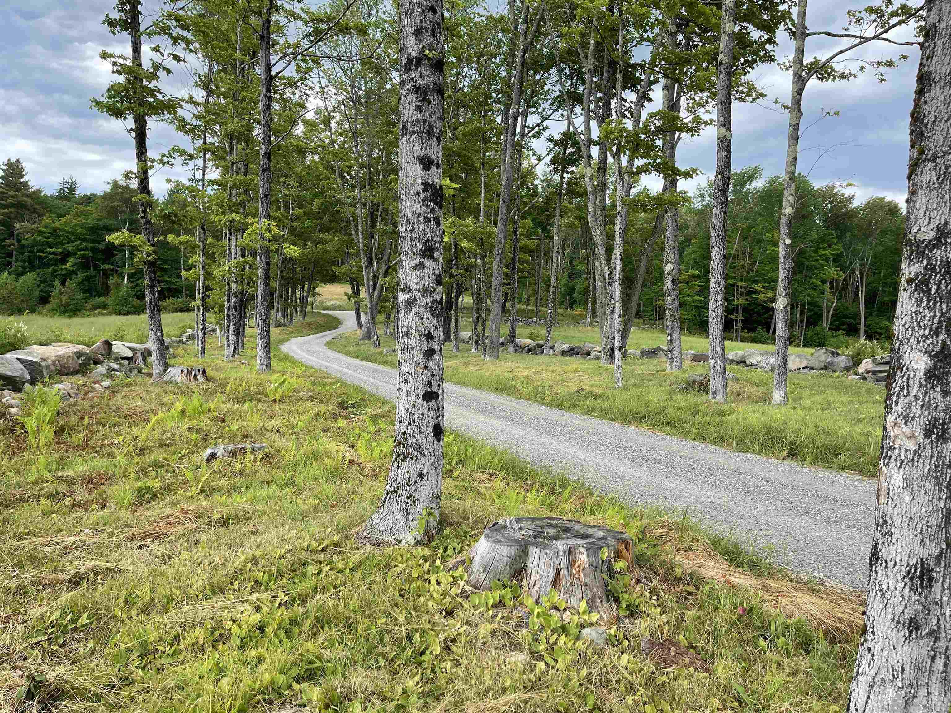 Homes for sale in Andover, VT | 00 Marsh Hill Rd, Andover, VT 05143 | MLS# 5074909