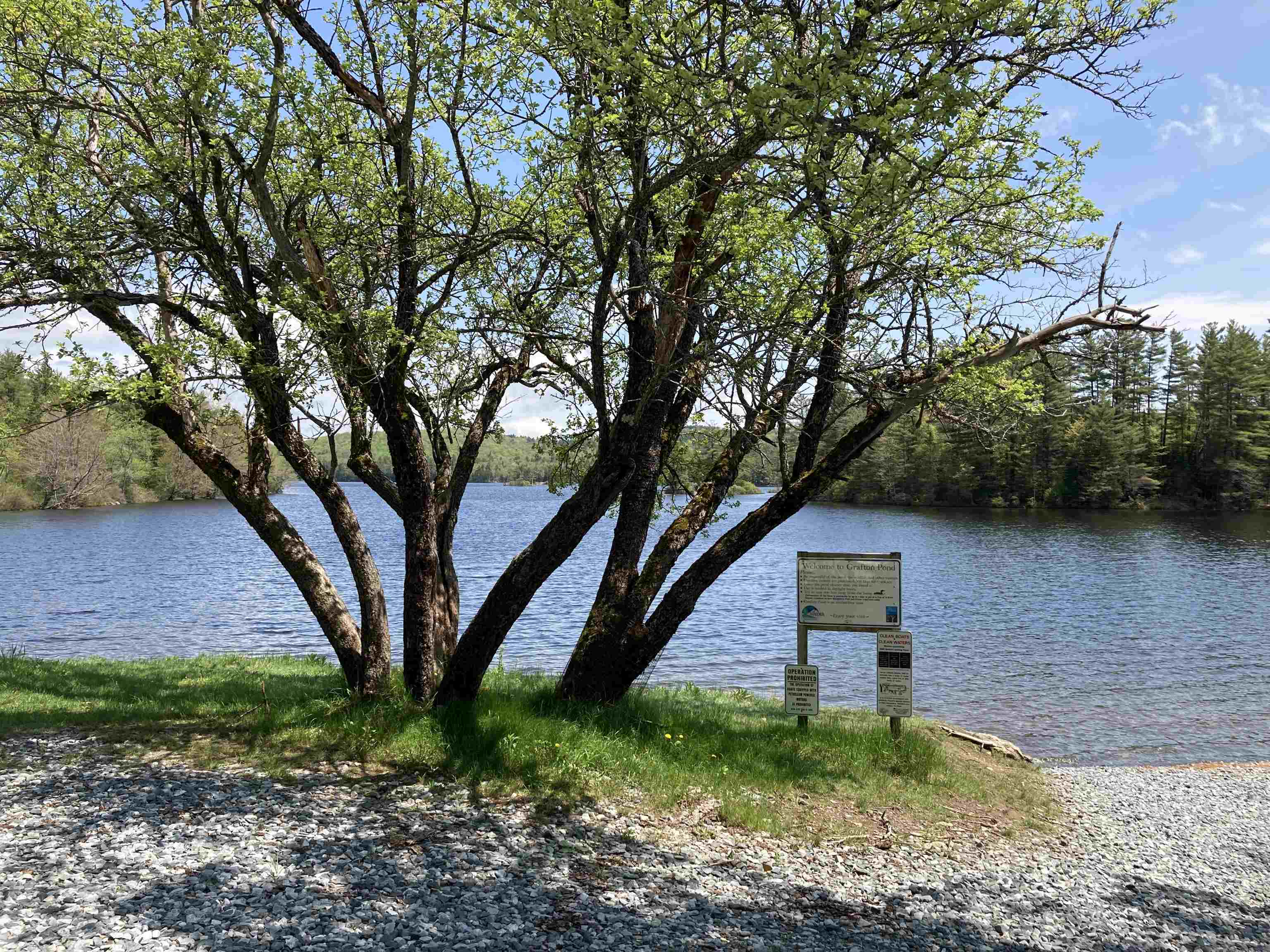 Grafton Pond Public Access