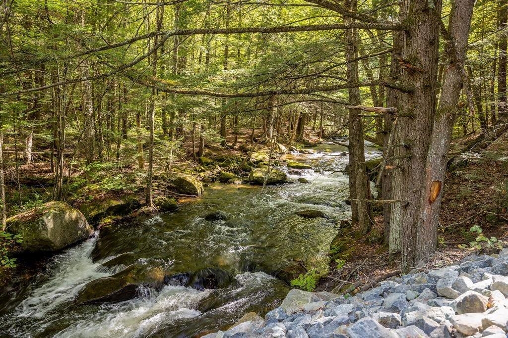 Beautiful Summer Time Place