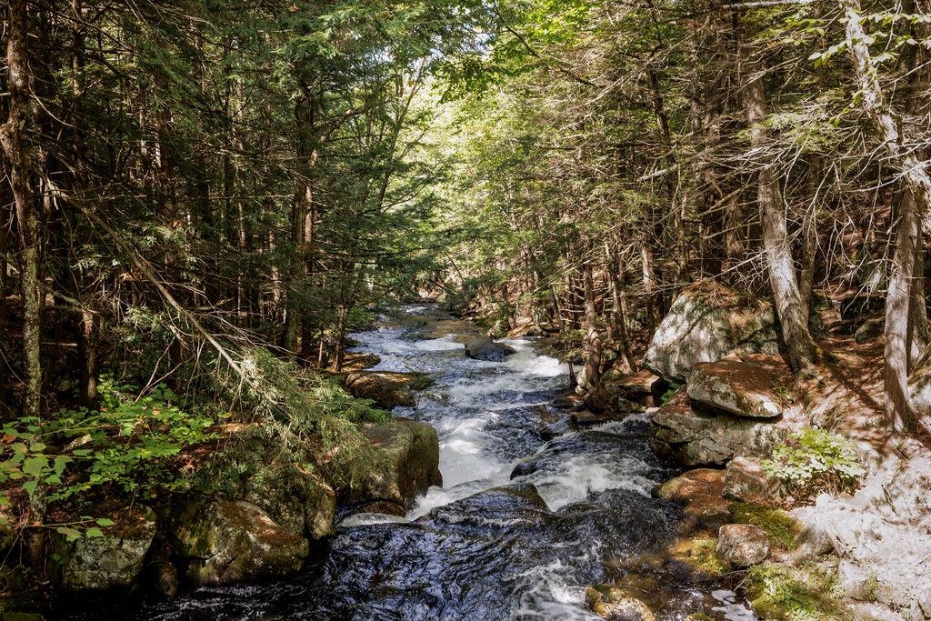 Cool Here In the Summer