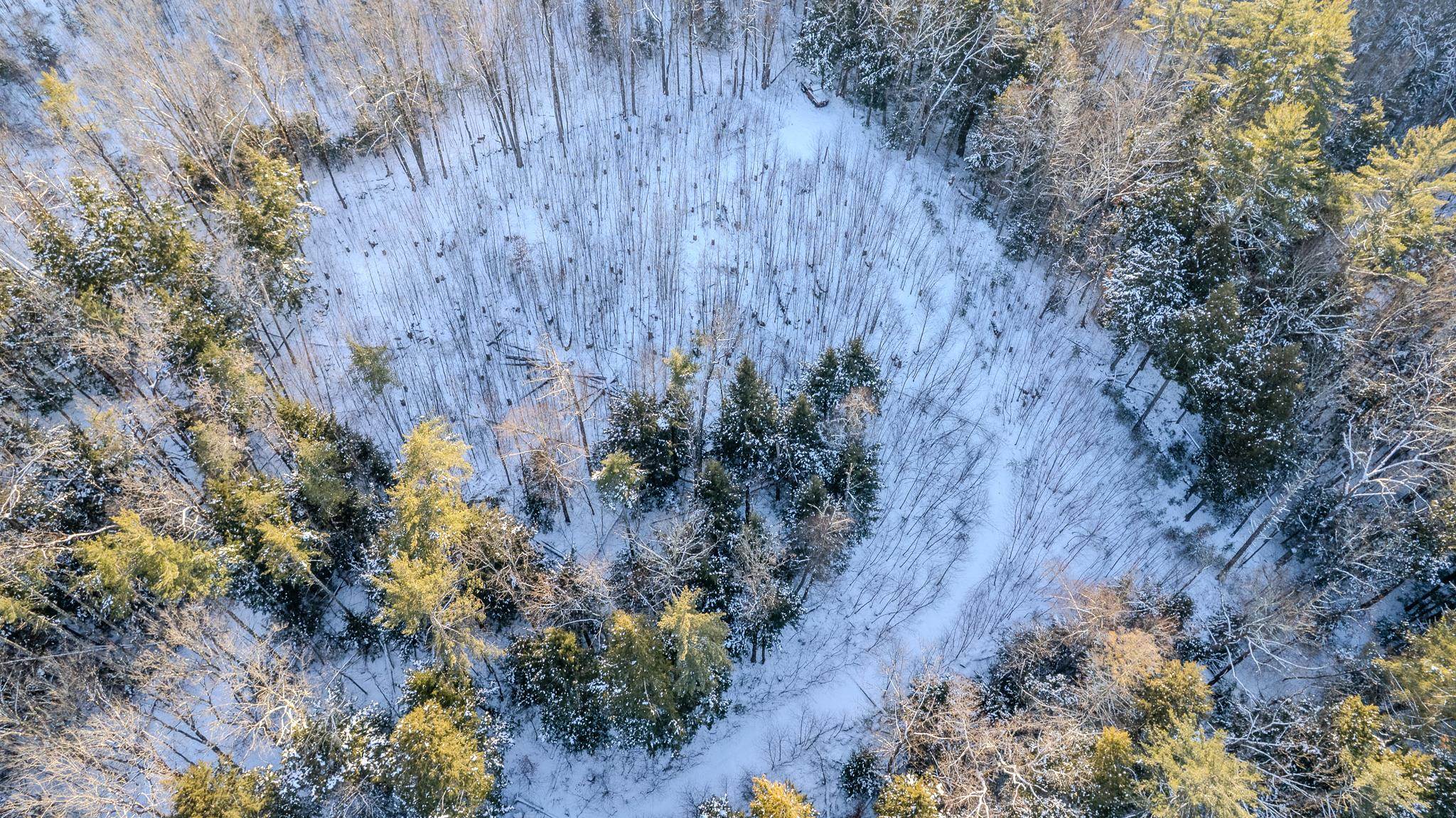 Homes for sale in Alstead, NH | 00 Route 123 Rd, Alstead, NH 03602 | MLS# 5074964