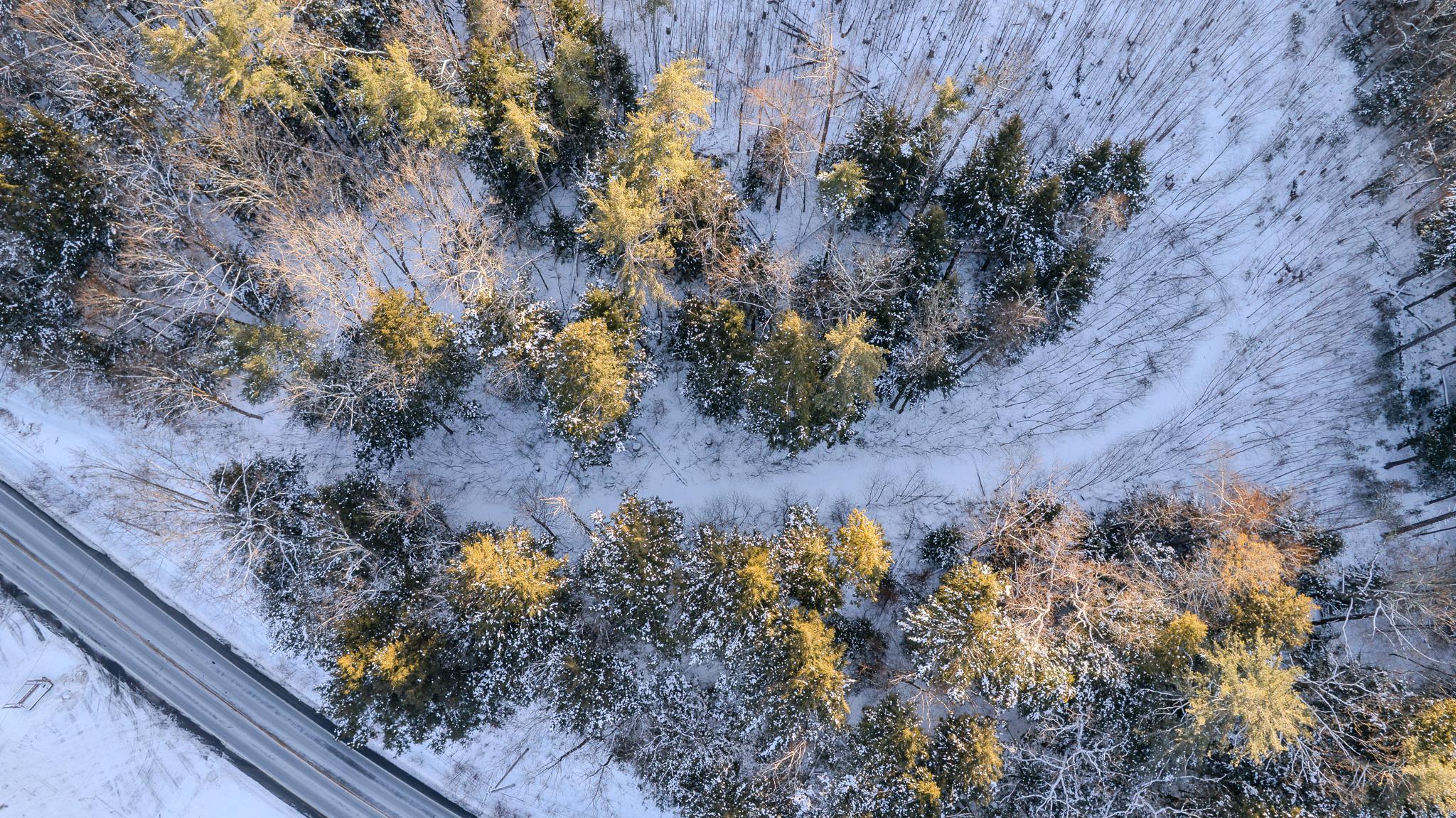 Homes for sale in Alstead, NH | 00 Route 123 Rd, Alstead, NH 03602 | MLS# 5074964