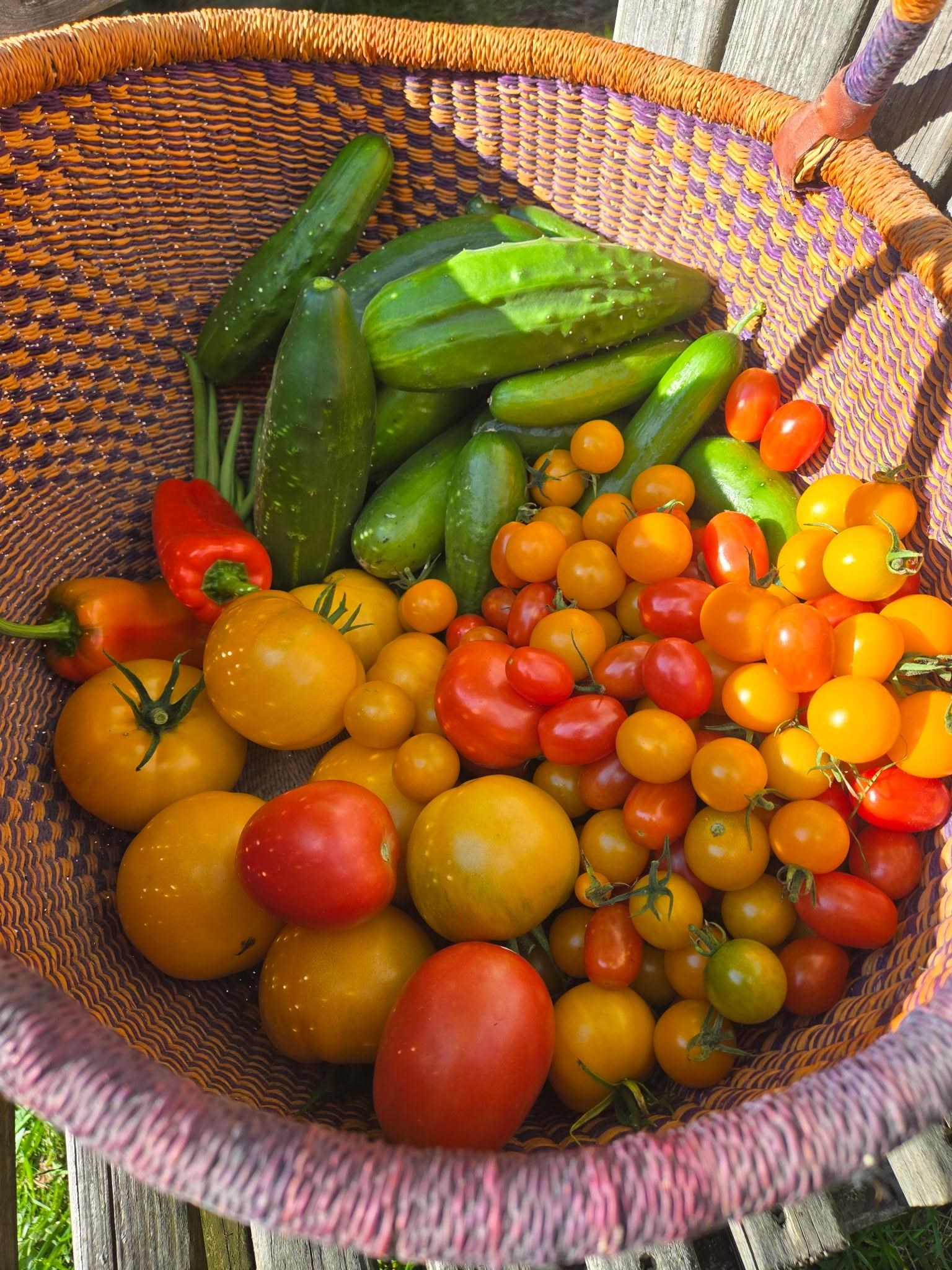 Homes for sale in Highgate, VT | 383 Jones Rd, Highgate, VT 05457 | MLS# 5075012