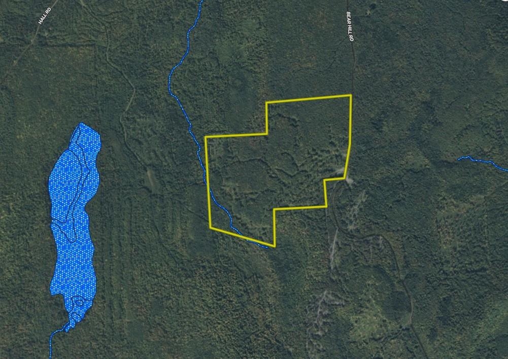 Homes for sale in Maidstone, VT | 1070 Bear Hill Rd, Maidstone, VT 05905 | MLS# 5075021